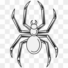 Cartoon, HD Png Download - spider webs png