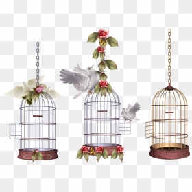 White Bird Cage Png Image - Birds Cage Png, Transparent Png - bird cage png