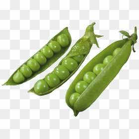 Three Pods With Peas - Горох Png, Transparent Png - peas png