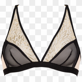 Lingerie Png, Transparent Png - lingerie png