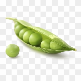 Pea Png Image Transparent - Peas In A Pod, Png Download - peas png