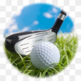Practicing In Public Parks - Golf, HD Png Download - golf ball on tee png