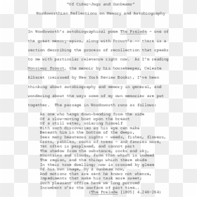 Document, HD Png Download - sunbeams png