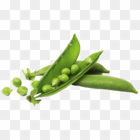 Pea In A Pot, HD Png Download - peas png