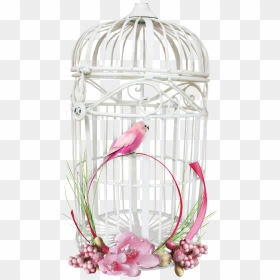 White Bird Cage - Transparent Background Bird Cage Png, Png Download - bird cage png