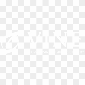 Vine Logo Black And White - Skin Needling Before And After, HD Png Download - jungle vine png