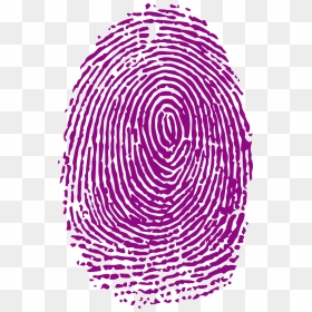 Fingerprint Forensic Science Analysis - Purple Fingerprint Png, Transparent Png - finger print png