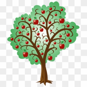 Apple Tree Root System - Copac Cu Mere De Aur, HD Png Download - tree with roots png
