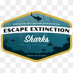 Illustration, HD Png Download - sharks png
