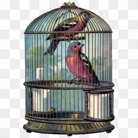Vintage Bird Cage Png , Png Download - Bird In The Cage Png, Transparent Png - bird cage png