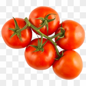 Free Png Download Red Vine Tomatoes Png Images Background - Vine Tomatoes Png, Transparent Png - jungle vine png