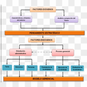 Caracteristicas Del Pensamiento Estratégico, HD Png Download - modelos png