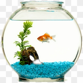 Goldfish Bowl , Png Download - Fish In A Bowl Png, Transparent Png - fish bowl png