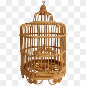 Bird In Cage Png - Bamboo Bird Cage Vector, Transparent Png - bird cage png