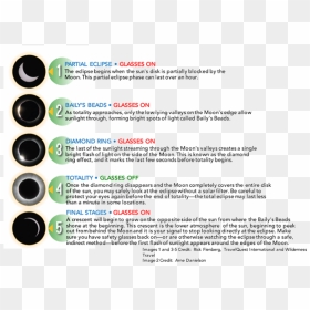 Document, HD Png Download - bright light effect png