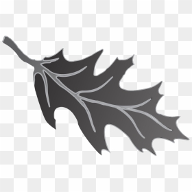 Transparent Black Leaf Png - Weapon, Png Download - black leaf png