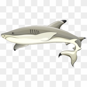 Blacktip Reef Shark Clipart, HD Png Download - sharks png