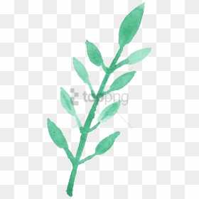Free Png Watercolour Leaf Png Image With Transparent - Watercolor Painting, Png Download - transparent leaf png
