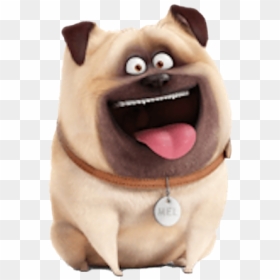 The Secret Life Of Pets Mel Png File - Secret Life Of Pets 2 Characters, Transparent Png - pets png