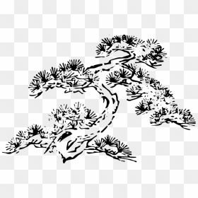 Free Illustration Of Pine Tree - イラスト 松の木, HD Png Download - pine tree branch png