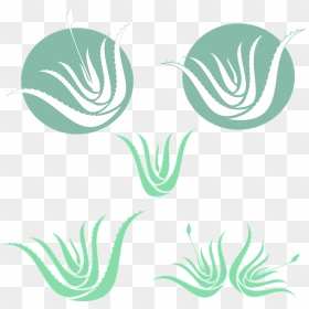 Aloe Vera Green Silhouette Medicinal Plant - Lidah Buaya Vector Png, Transparent Png - aloe vera png