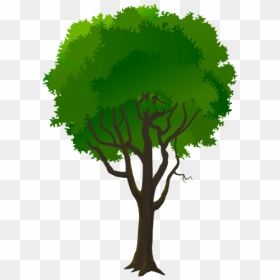 Pine Trees Clipart - Portable Network Graphics, HD Png Download - pine tree branch png