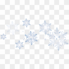 #snow #remixit #snowflake #snowwhite #snowfall #snowing - Frost, HD Png Download - snow fall png