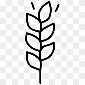Wheat Gluten Autumn - Gluten Icon Png, Transparent Png - wheat icon png