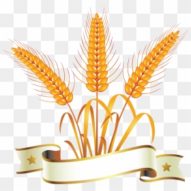Gold And Silver Wheat Symbol Logos Icons - Transparent Background Wheat Png File, Png Download - wheat icon png