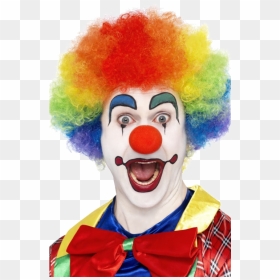 Clown Wig Png - Multi Colored Clown Wig, Transparent Png - clown wig png
