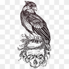 Tattoo Illustrator Skull Owl Of Material Bird Clipart - Bird Of Prey Tattoo, HD Png Download - bird clipart png