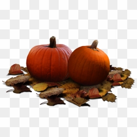 Download Real Pumpkin Png Clipart For Designing Project - Real Pumpkin Png, Transparent Png - pumpkin.png