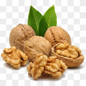Walnut Png, Transparent Png - walnut png