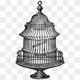 Vintage Bird Cage Graphic, HD Png Download - bird cage png