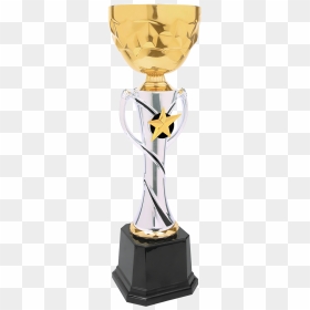 Trophy Images With Name, HD Png Download - gold trophy png