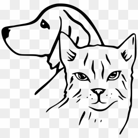 Pets - Dog And Cat Drawing, HD Png Download - pets png
