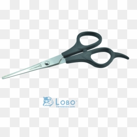 Transparent Tijeras Png - Scissors, Png Download - tijeras png