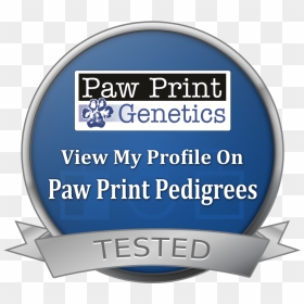 043408b9053c Paw Print - Love, HD Png Download - dog print png