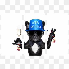 Happy New Year Weird, HD Png Download - new years hat png