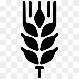 Wheat Whole Crop Gluten - Wheat, HD Png Download - wheat icon png