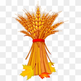 Transparent Wheat Icon Png - Harvest Clipart, Png Download - wheat icon png
