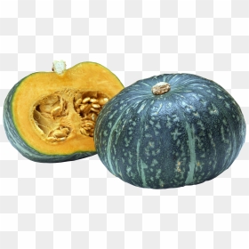 Download And Use Pumpkin Png Image - Squash Png, Transparent Png - pumpkin.png
