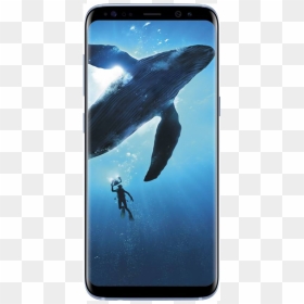 Samsung S8 Plus 128gb, HD Png Download - samsung s8 png