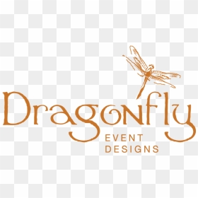 Dragonflies And Damseflies, HD Png Download - rust texture png