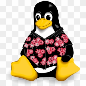 Casualtux-hawaiian - Linux Course, HD Png Download - hawaiian png
