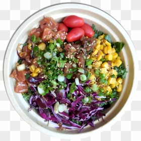 Rainbow Fish Bowl* , Png Download - Superfood, Transparent Png - fish bowl png