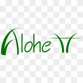 Home Alohe Tt Chi Siamo Filosofia Aloe Vera Moringa, HD Png Download - aloe vera png