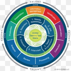 Edrm Talent Task Matrix Diagram - Talent Review Models, HD Png Download - matrix code png