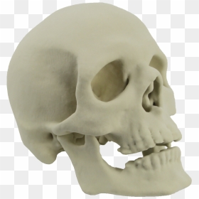Skull Png - Transparent 3d Skull Png, Png Download - skull.png