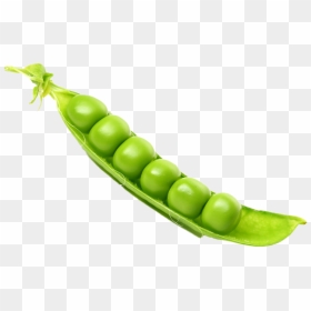 Peas Transparent Png, Png Download - peas png